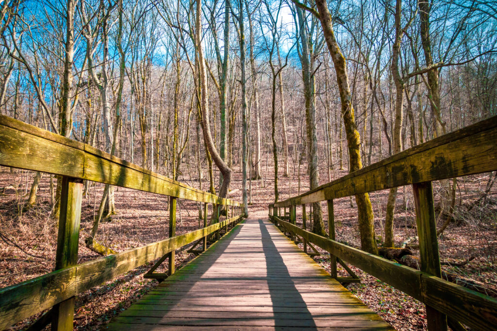 Nashville outdoors veterans